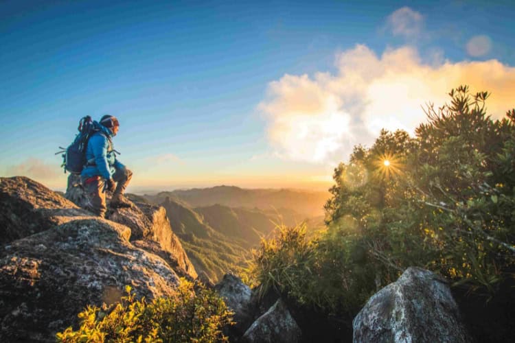 Hiking in New Zealand: Epic walks, iconic landscapes & trails for everyone