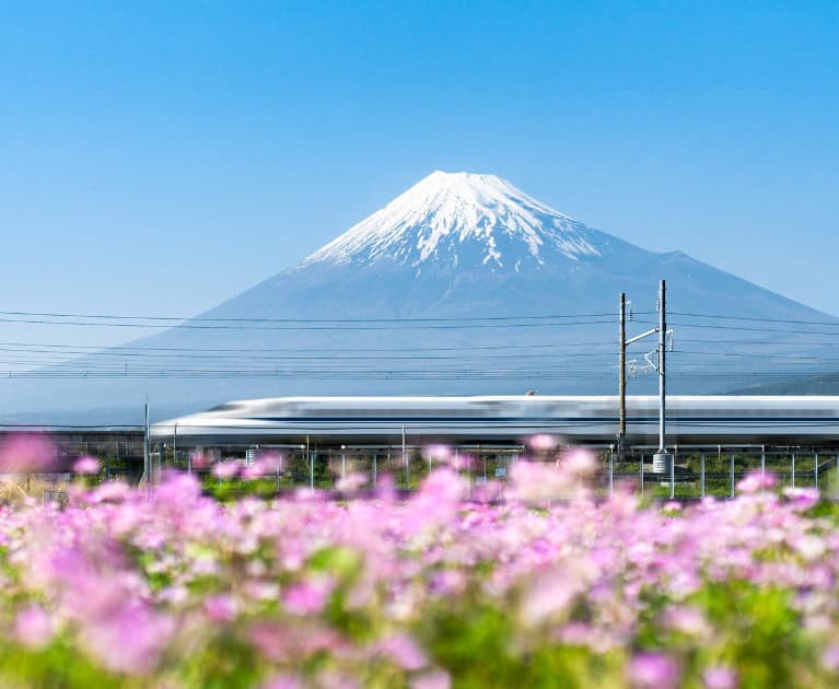 Your package includes: