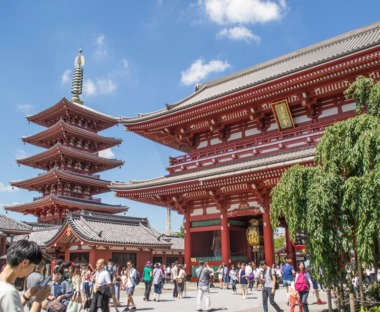 Your package includes: