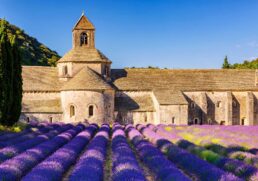 Beginner’s Guide to French Wine Regions