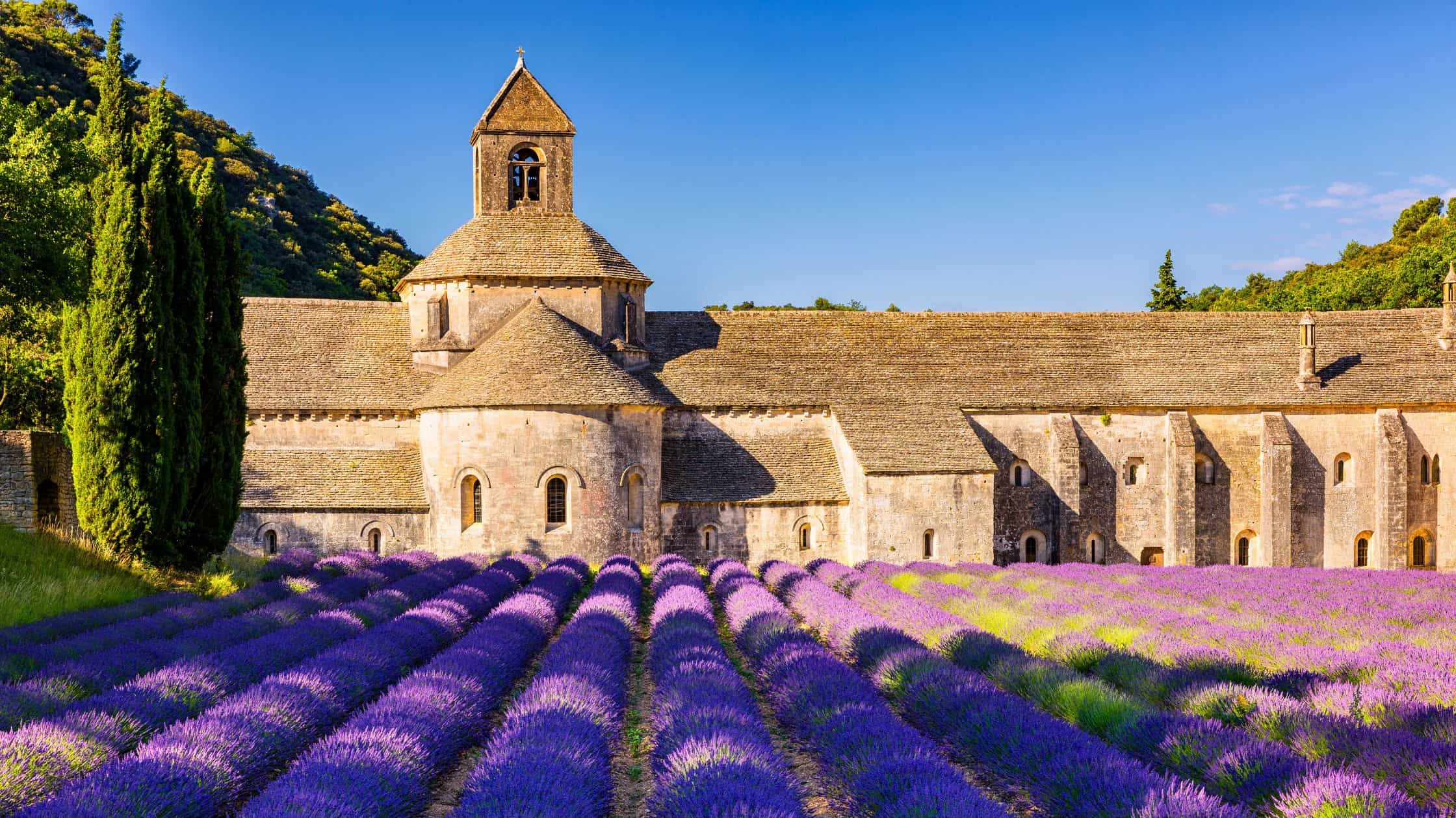 Beginner’s Guide to French Wine Regions