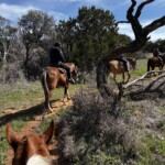 Texas horse riding