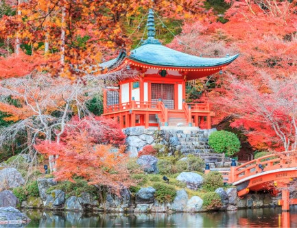 Explore Asia in ultra-luxury and save