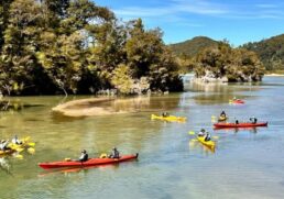 Walking in New Zealand
