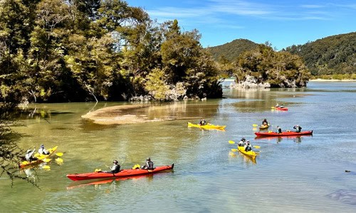 Walking in New Zealand