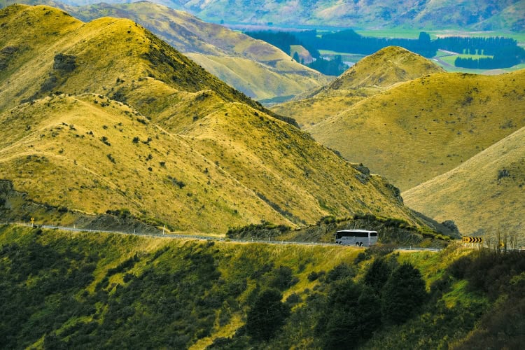 9 Reasons to travel on a Signature Mid-Size Group Tour in New Zealand