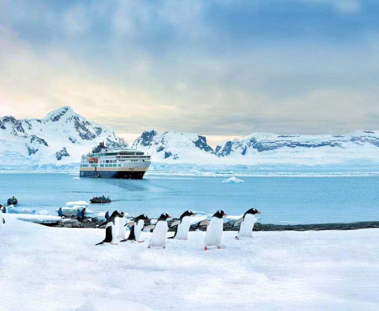 Your cruise includes: