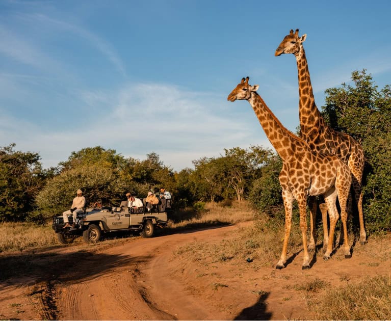 Your trip includes: