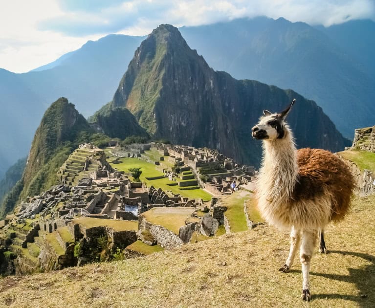Your trip includes:
