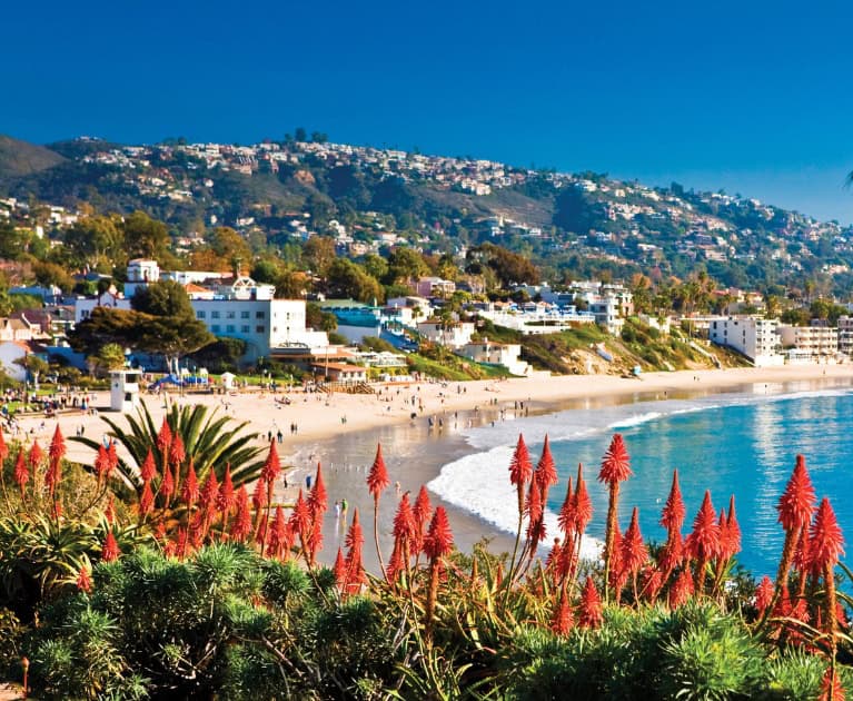 Resort highlights: