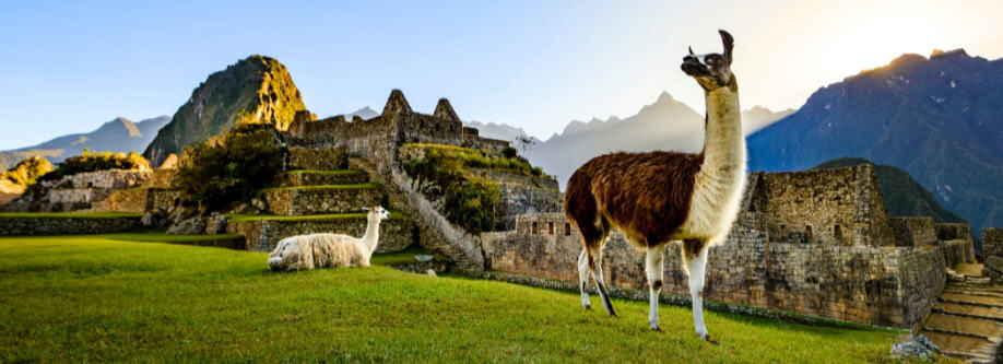 Reset your perspective and return home feeling inspired with these adventure tours