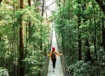Person crossing a suspended bridge in a rainforest in Costa Rica