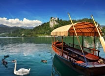 Boat in foreground on lake in Bled Slovenia with swans