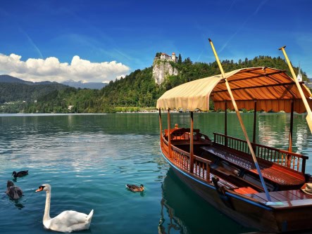 Exclusive $100*pp saving on small-group tours