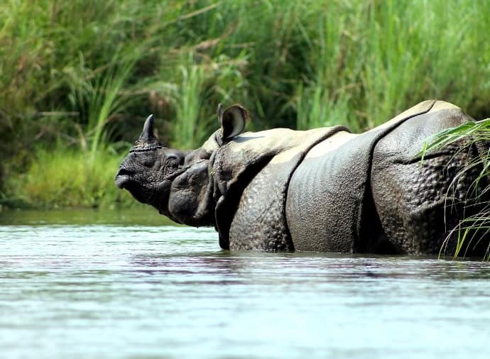 Kathmandu to Chitwan