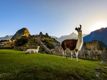 Reset your perspective with these adventure tours