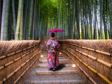 Save up to $1,700* per person on small-group tours