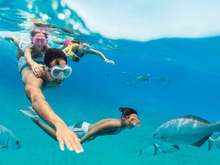 Second guests save up to 60%* off their cruise fare
