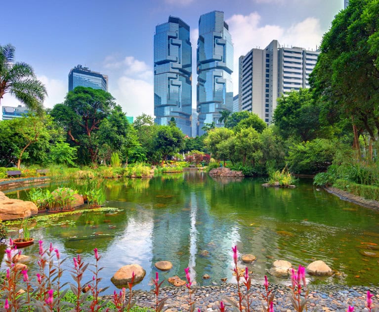 Cruise highlights: