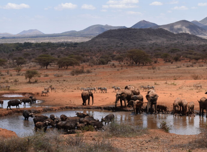Tsavo West National Park