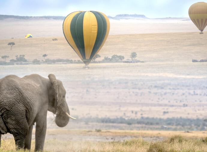 Masai Mara Safari