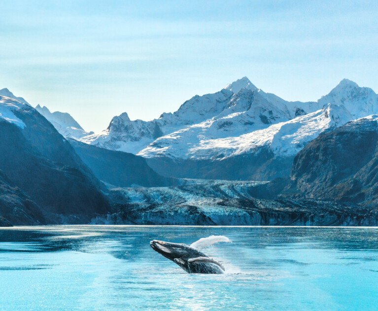 Your cruise includes: