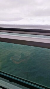 Nordic Balcony