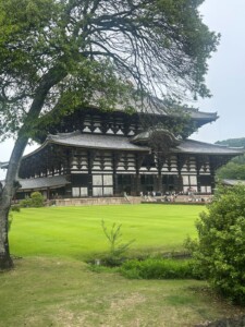 Nara Park and Todai-ji Temple and Kasugataisha Shrine,