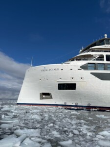 Viking Polaris