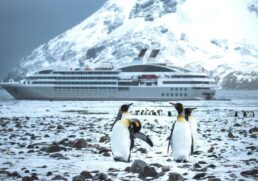 Antarctica: Reimagining the Ocean Through Science