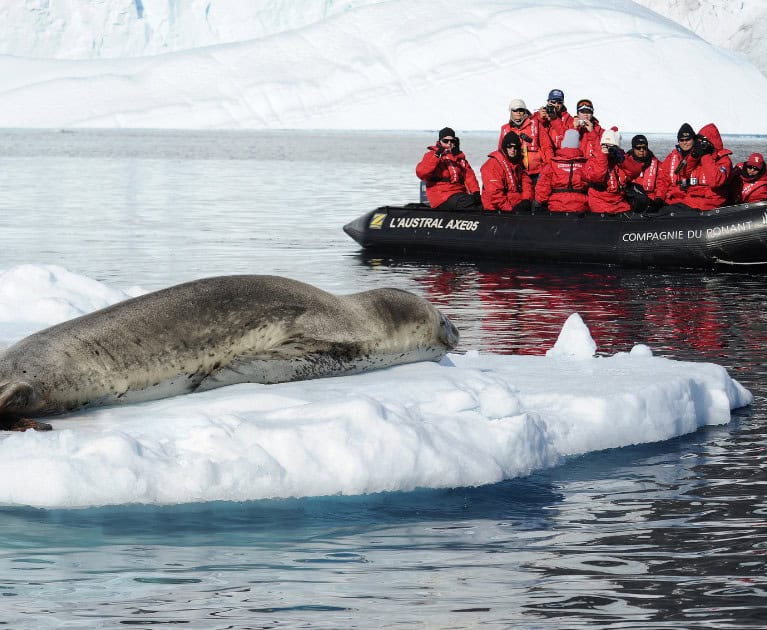 Cruise highlights: