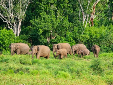 Explore Sri Lanka + receive a $100*pp Endota Spa voucher